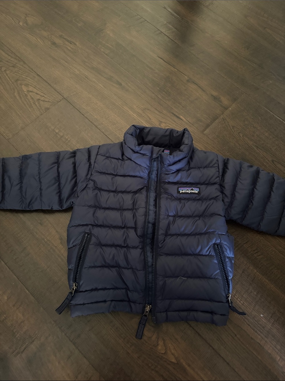 Worn 2x Patagonia Baby Down Sweater puffer jacket 6-12 months paid $115